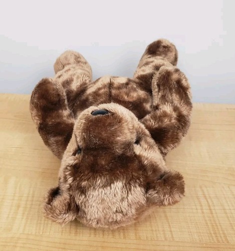 Peluche Ty Beanie Buddy Buddies Oso Marrón 100% Tylon 2001 - Imagen 8 de 13