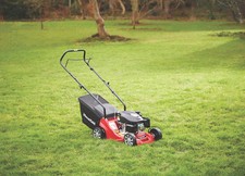 Mountfield HP164 39cm 123cc Hand-Propelled Rotary Petrol Lawn Mower
