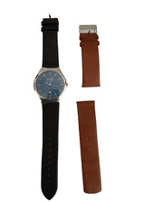 Image of Skagen SKW6160 Blue Dial Watch