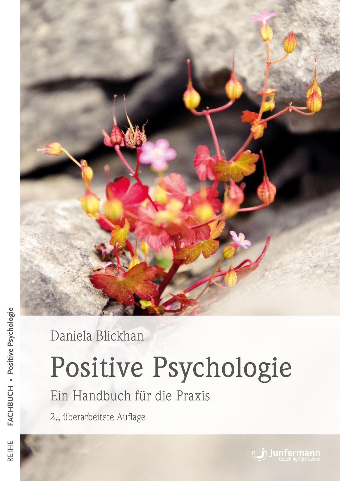 Thumbnail - Positive Psychologie | Ein Handbuch Für Die Praxis | Daniela Blickhan
