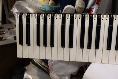 Casiotone 701 Keyboard Synthesizer Keys Keyboard | eBay