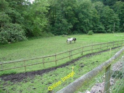 Photo 6x4 Paddocks beside the Soudley Brook Lower Soudley Two ponies swis c2012