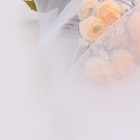 Bild 2 von 10