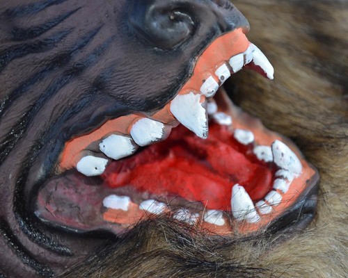 Halloween Wolfman Face Masks Werewolf Wolf Scary Mask Latex Cosplay Costume Prop - Picture 10 of 12