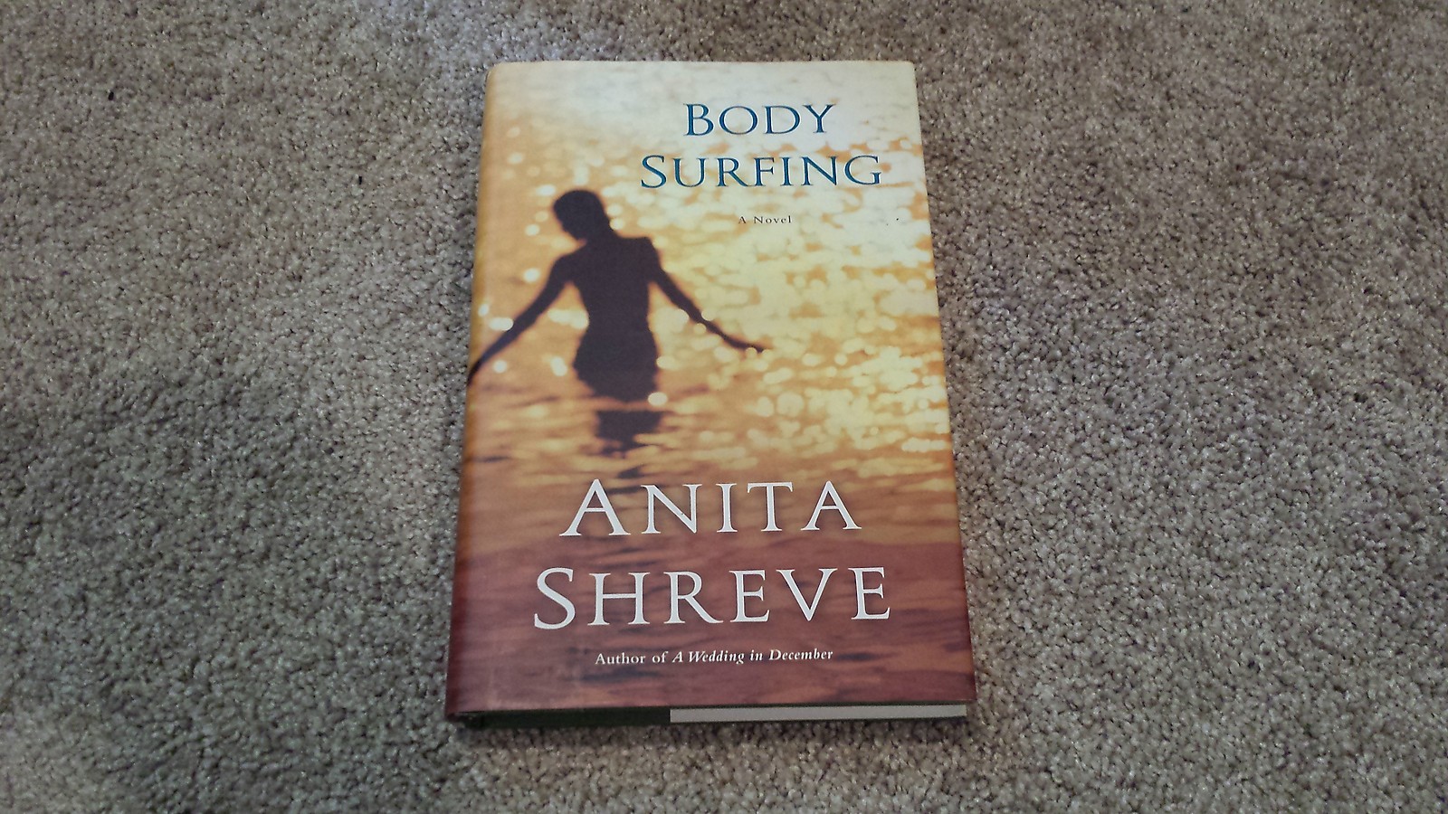 Body Surfing a Novel by Anita Shreve Hardback with Dust Jacket eBay