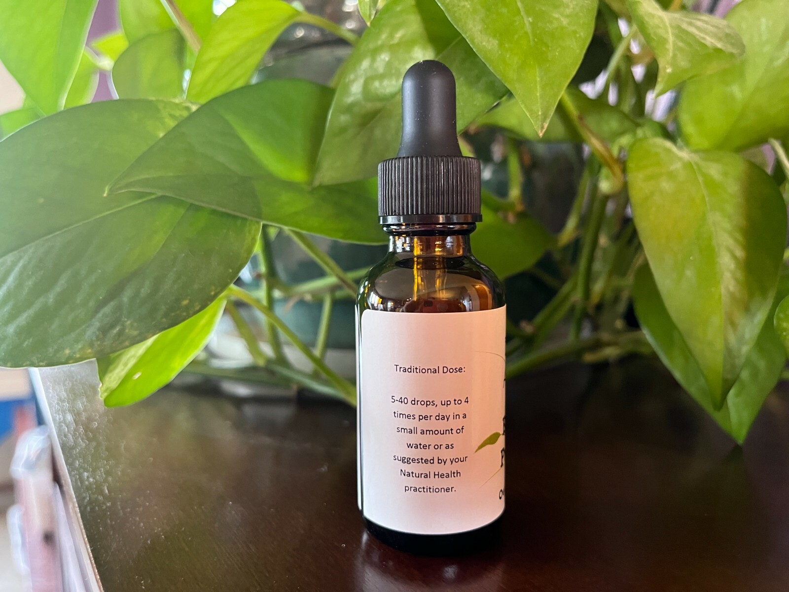 Evening Primrose Tincture 1 oz. Wildcrafted eBay