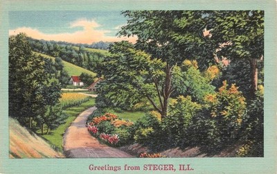Chicago Steger IL Illinois Cook County Country Road Foliage Vtg Postcard J14