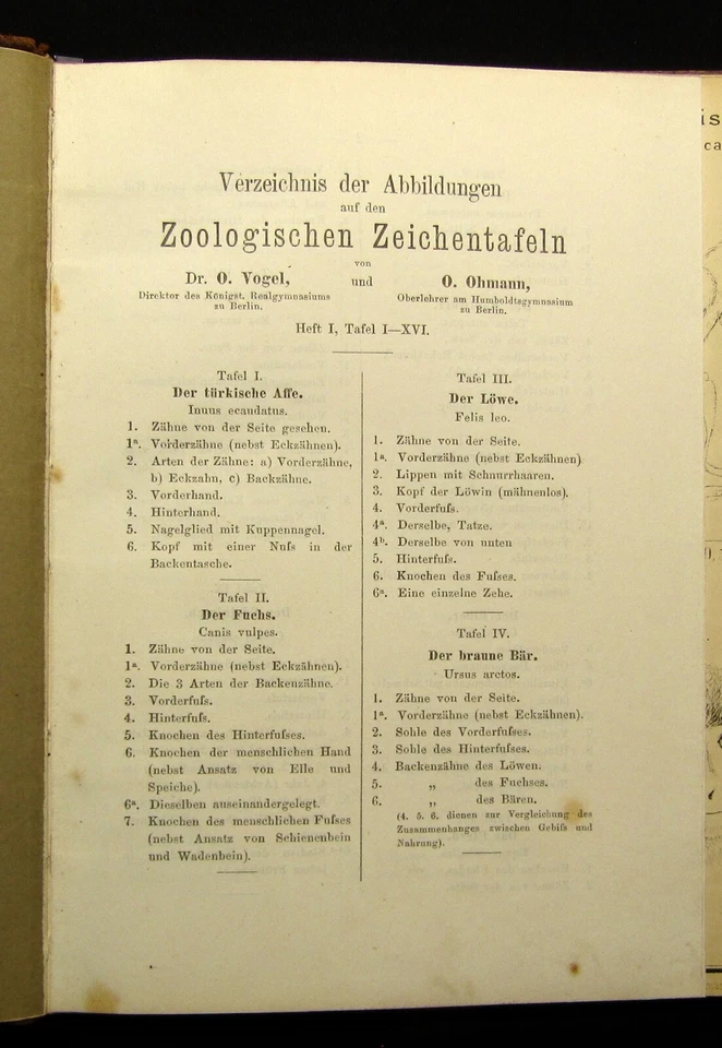 Vogel,Ohmann Zoologische Zeichentafeln 3 Hefte komplett 1892-93 54 Tafeln gesamt - Bild 4 von 4