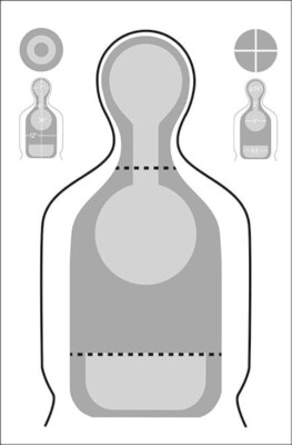 Department of Homeland Security (DHS-SQT) Standard Qualification Target (200/EA)
