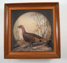 VINTAGE TURKEY GAME BIRD DIORAMA  J. Q. WHIPPLE DECOY CARVING HUNTING  #6