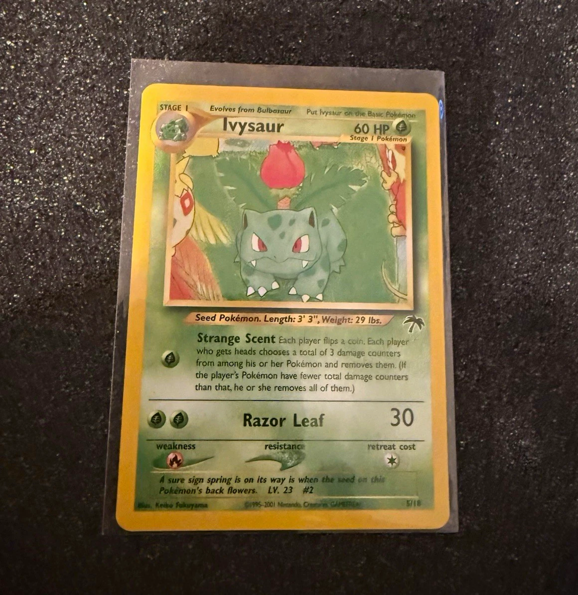 Ivysaur Southern s 英語版 5/18 Ivysaur 05/18 Southern Islands for sale | eBay