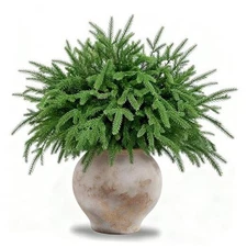 18 Inch Greenery Artificial Norfolk Pine Branches, Real Touch Faux Pine 12 Pcs