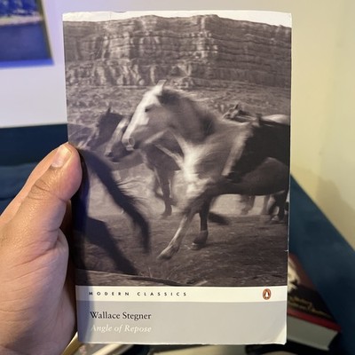 Angle of Repose by Wallace Stegner (Penguin Modern Classics) 2006 Ed. UNCOMMON!