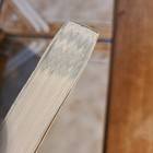 Bild 12 von 12