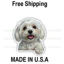 Peeking Maltese Vinyl Decal Sticker Dog Puppy Pet Peeker B
