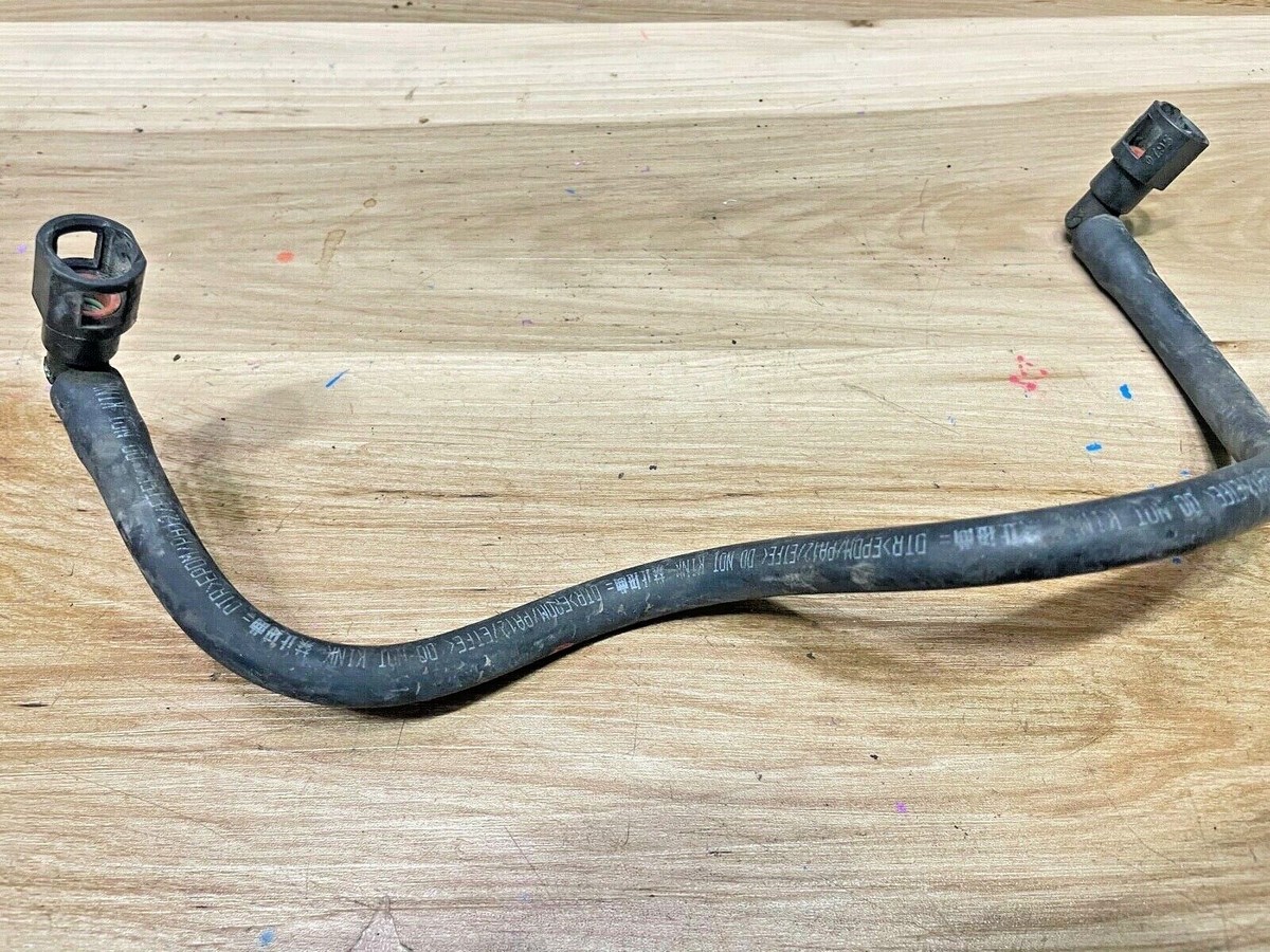 ぽんた　1506060 NOS Genuine Ford OEM 04-08 F-150 Left Side Seat Belt