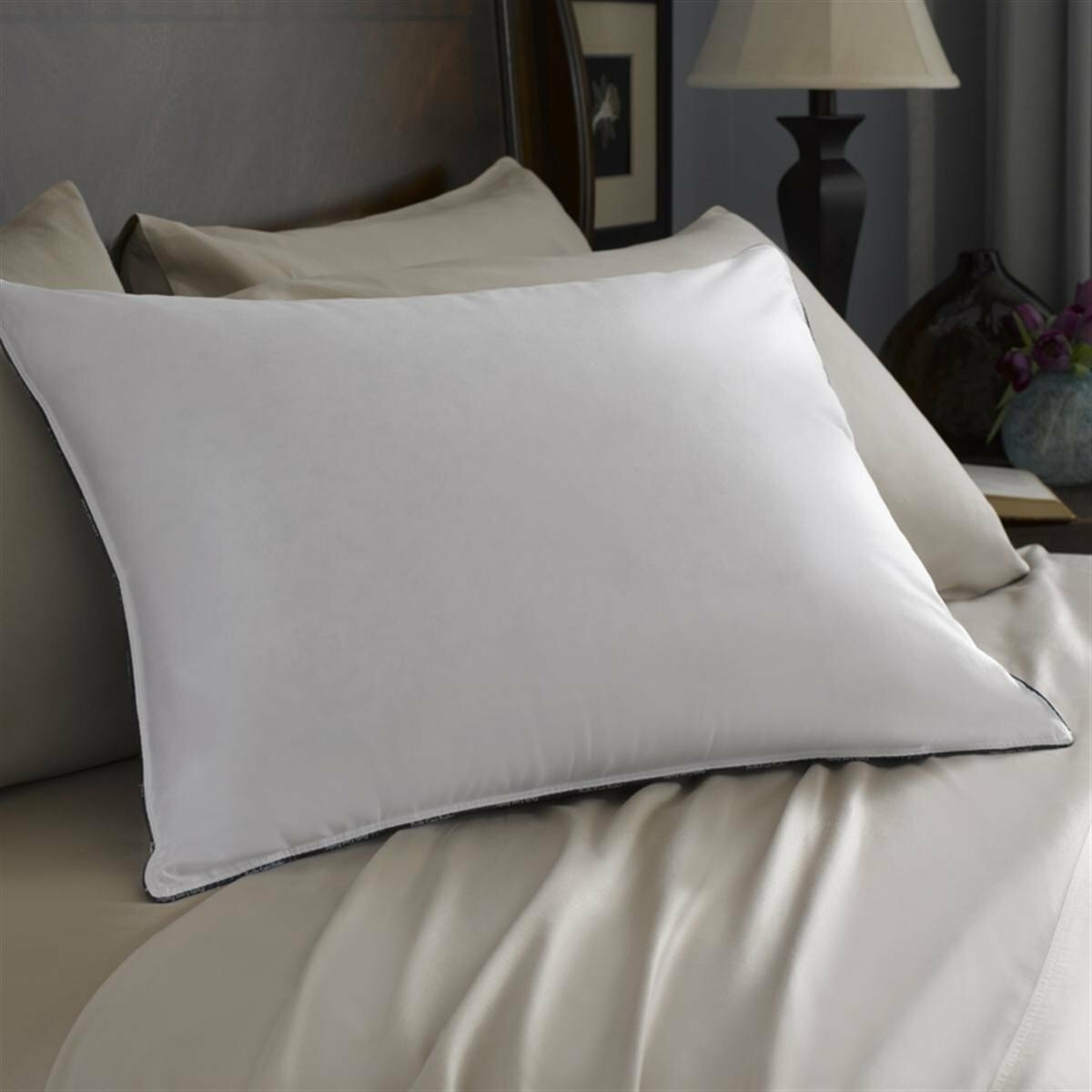 Pacific Coast Double Down Surround Pillow Set (2 Standard Pillows) eBay