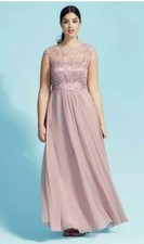 Coast Lori May Maxi Dress in Blush/Pink Curve Plus Size 16