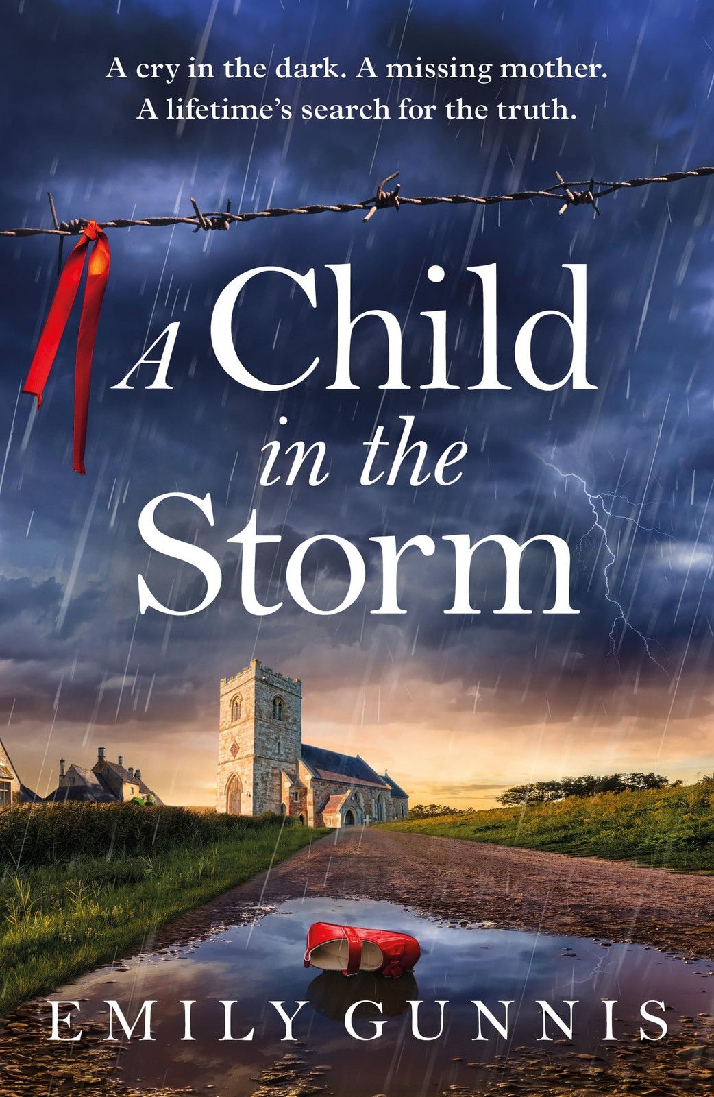 A Child in the Storm: A baby stolen. A young woman locked away.