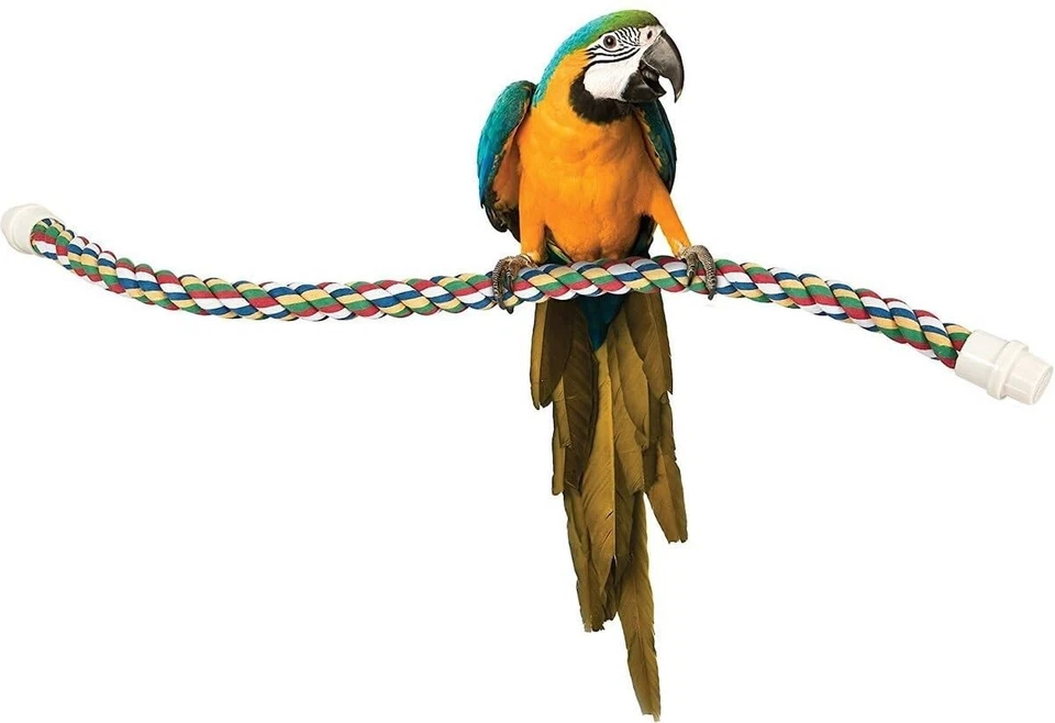 Удобный окунь для домашних животных для птиц гибкая многоцветная веревка, большой — длина 36 дюймов - Изображение 4 из 4