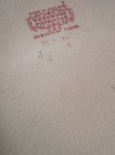 Wedgwood Patrician, 9 - 9+ inch plates, "Made in England" Unusual Pattern, NICE — photo 4