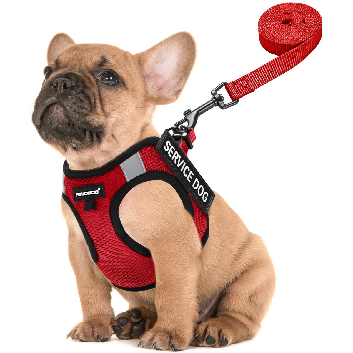 Velcro Closure Velcro Small Dog Harness Small Dog Collar, By