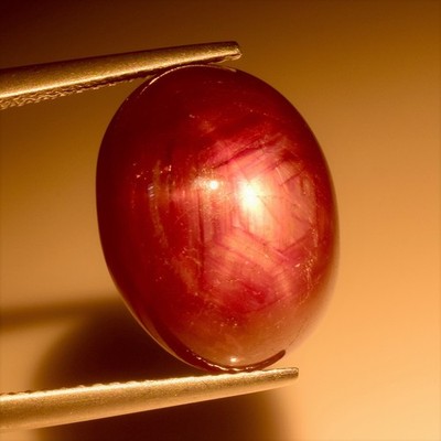 18.50 Cts 6 Rays Star Ruby Purplish Red Cabochon Natural Loose Gemstone Burma