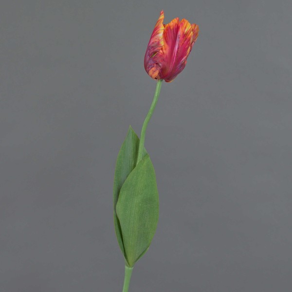 Artplants KüNstliche Papageientulpe Uakari, Rot-Pink-Orange-GrüN, 65Cm, Ø6Cm-image