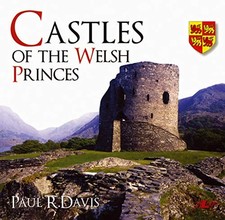 Castles of the Welsh Princes by Paul R Davis Book The Cheap Fast Free Post