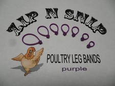 Purple LEG BANDS ONE size fits ALL POULTRY Chicken Duck Turkey PheasantGeese