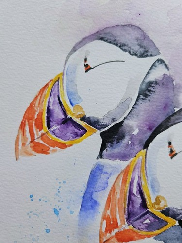 Original watercolour painting signed by Elle Smith Art of Puffin Birds, wall art - Picture 7 of 8