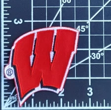 Wisconsin Badgers Iron On Embroidered Patch ~Free Tracking~!!