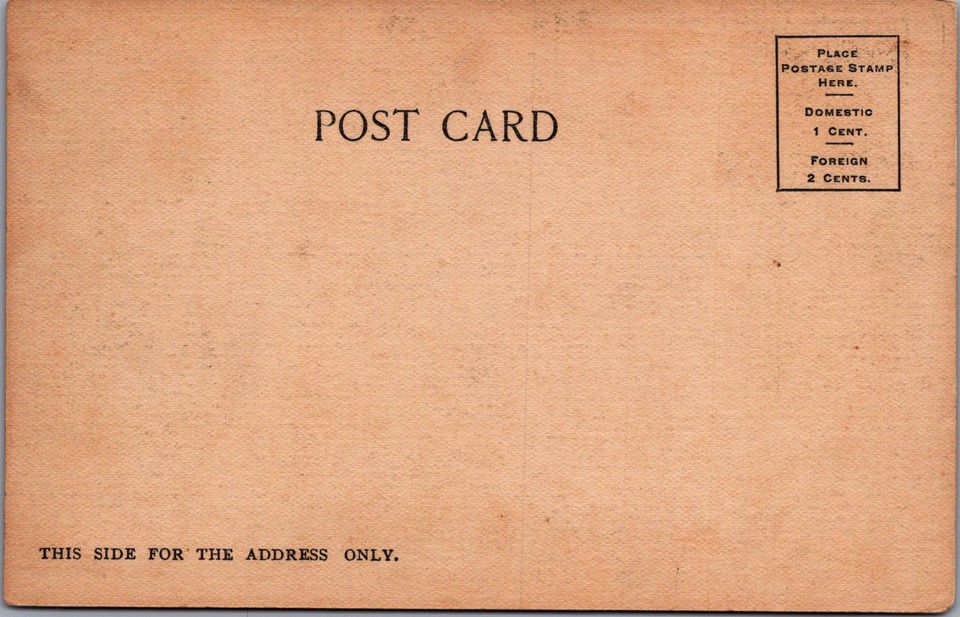 Norvelle Hotel, Jackson Mississippi c1900s Unposted Postcard eBay