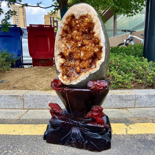 110.67LB Natural citrine geode quartz cluster crystal Dinosaur egg +stand - 第 1/15 張圖片
