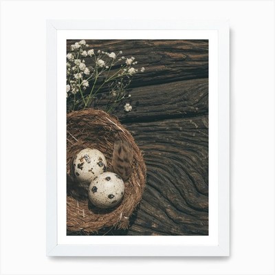 Nest mit Eiern und Blumen Kunstdruck gerahmtes Wandbild Poster Leinwanddruck Bild