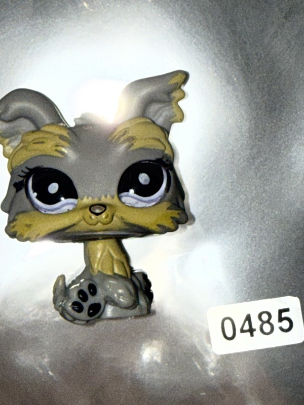 YORKSHIRE TERRIER YORKIE DOG #883 - Authentic Littlest Pet Shop - Hasbro LPS