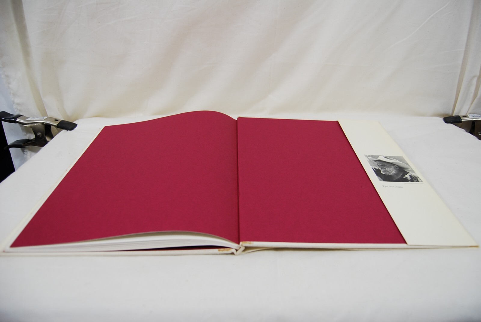 Signed TED DE GRAZIA 1967 AH HA TORO Book