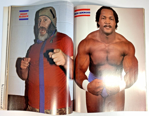 WRESTLING ALL STARS 2/88 Butch Reed STING Rock n Roll Express RIC FLAIR Dusty - Imagen 6 de 8