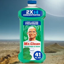 Mr. Clean All Purpose Cleaner 41oz Free Shipping