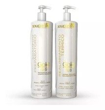 Realinhamento T rmico Gold Liss Progressiva Souple Liss 2x1l