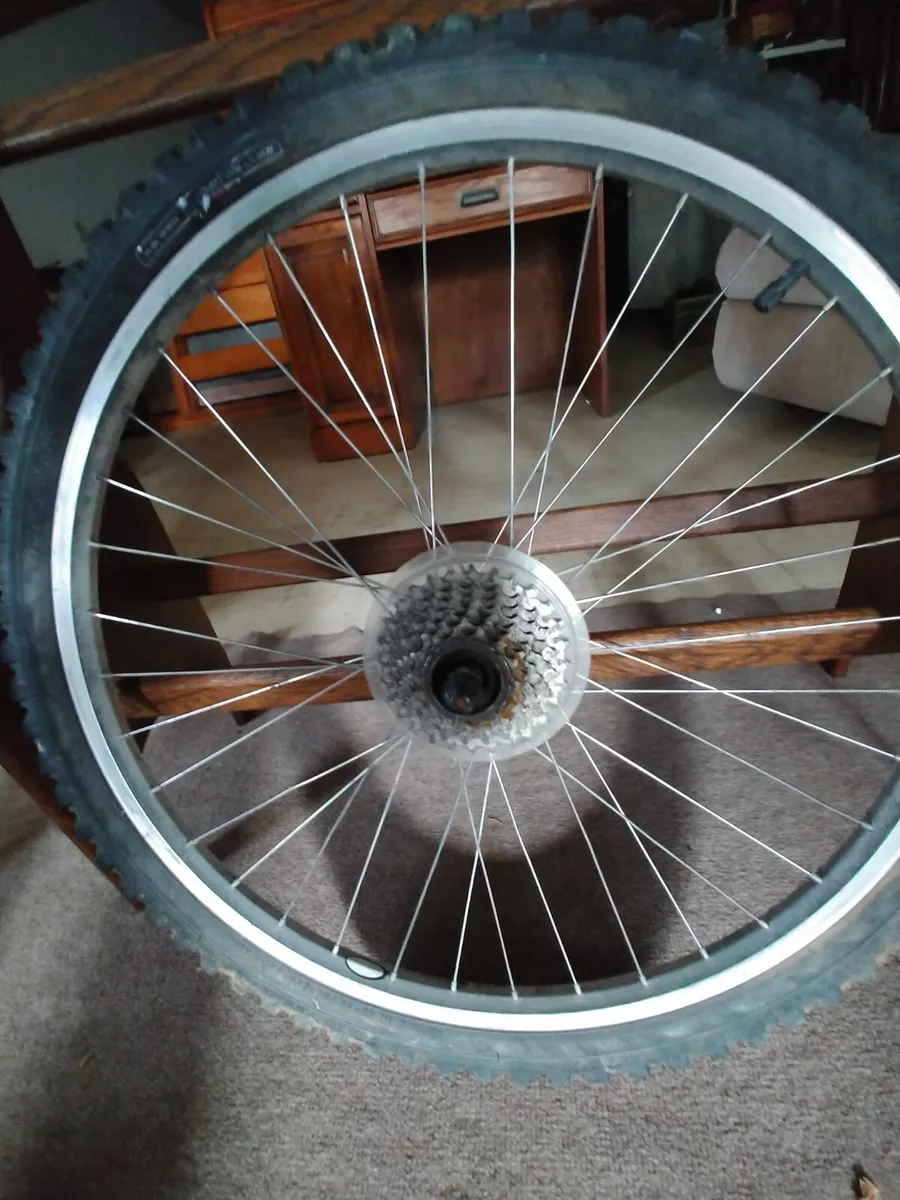 Rear bicycle wheel hotsell 26 x 1.95