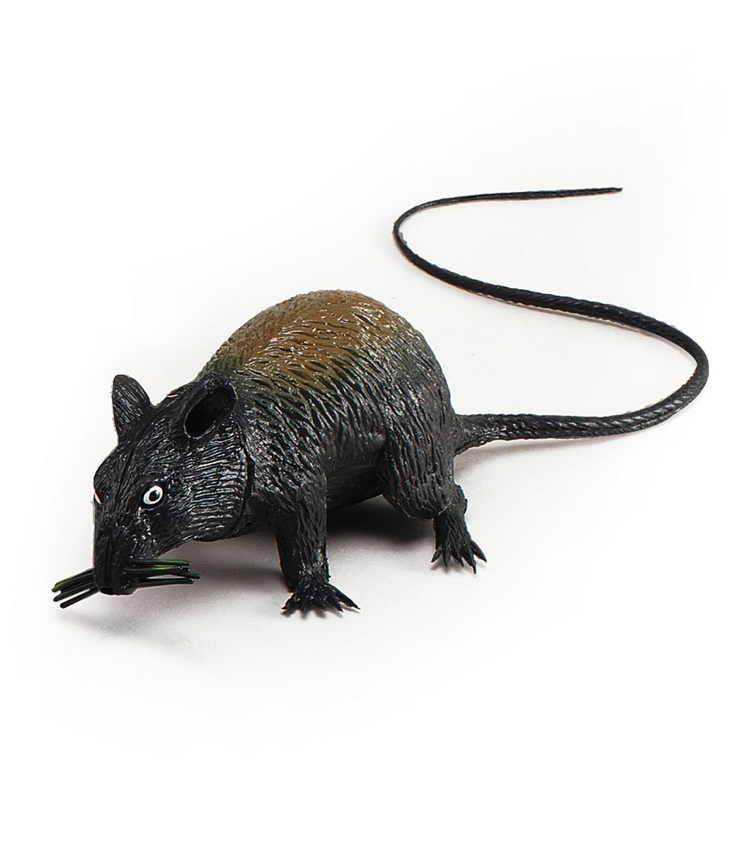 Rat Squeaking Large Toy Animal Rubber Prop Rat Squeaking Large Toy Animal Rubber Prop