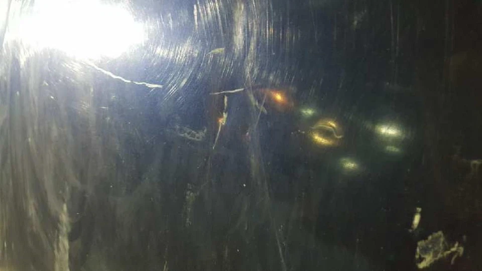 96262432 Haube für DAEWOO REZZO 344820 - Bild 2 von 2