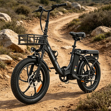 20 Zoll Klapprad 750W Elektrofahrrad 48V 20Ah E-Bike Herren/Damen City …