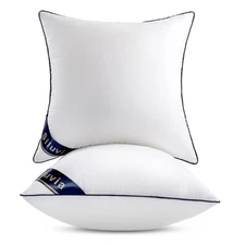 Siluvia 20"x20" Pillow Inserts Set of 2 Decorative Square Square Throw 20 Pil...
