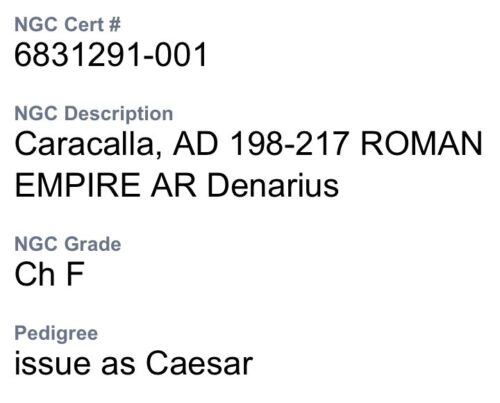 Beautiful NGC Graded Emperor Caracalla 198-217AD Ancient Roman Denarius Coin - Picture 5 of 14