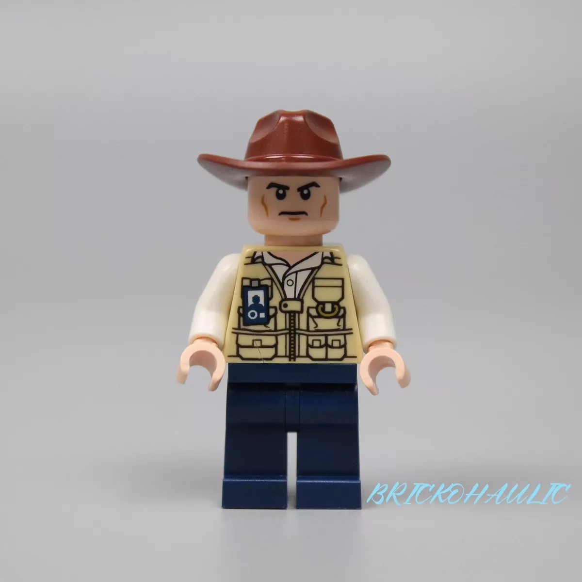 Jurassic world 75919 sale