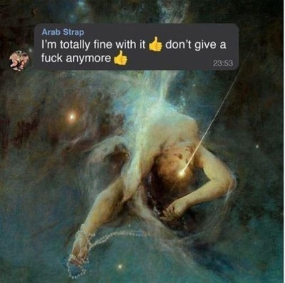 I M Totally Fine With It Don T Give A Fuck Anymore (1 CD Audio)... (Audio Cd)