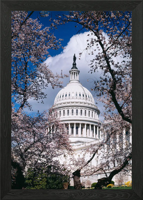 US Capitol Gebäude gerahmtes Wandbild Poster Leinwanddruck Bild