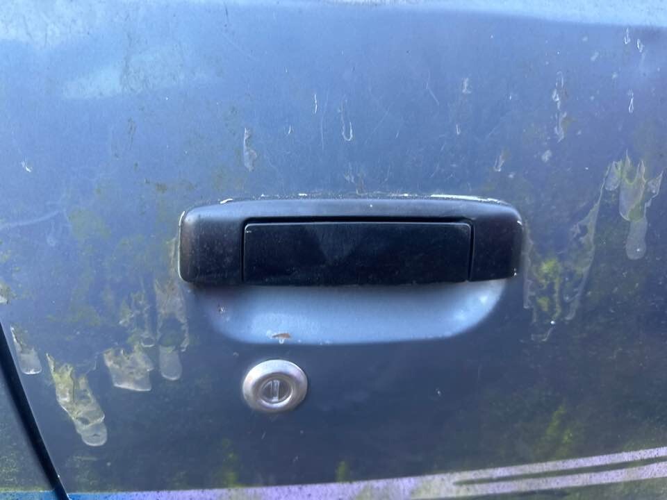 Picture 1 of 12